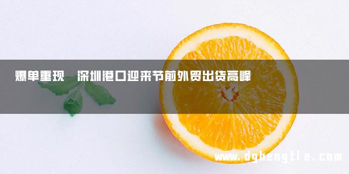 爆单重现 深圳港口迎来节前外贸出货高峰
